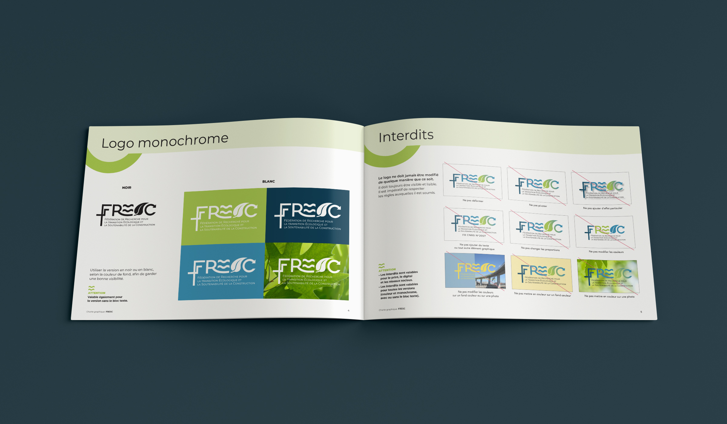 Fresc image 7