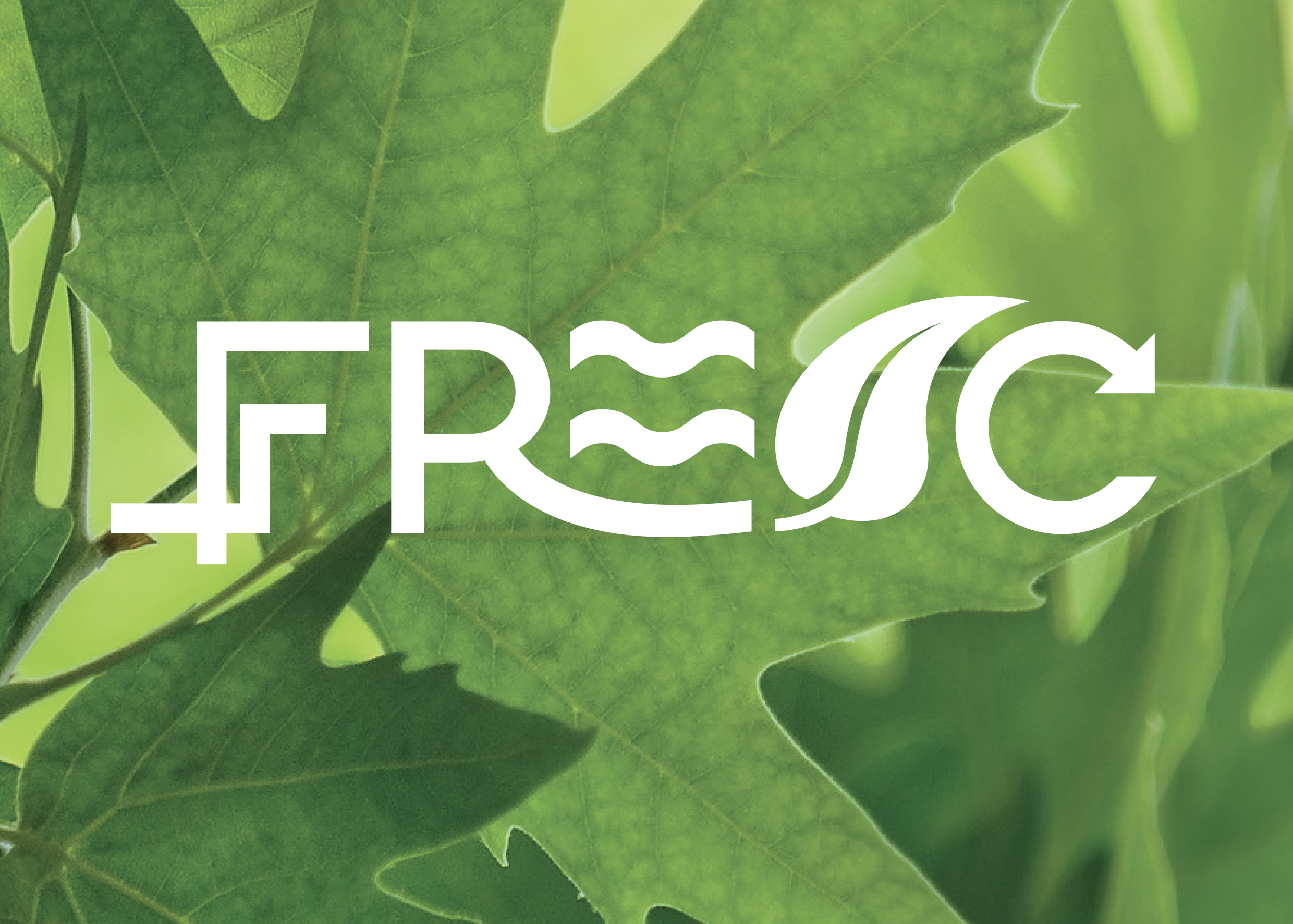 Fresc image 3